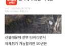 산불 때문에 앞으로 못 먹는 한국 식재료