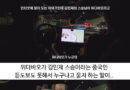 김민재 스승은 중국인이라는 중국 네티즌