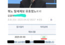 국세청에 김수현 탈세 제보 넣은 디시인