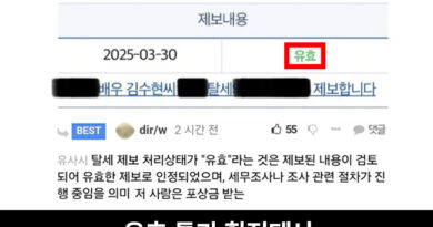 김수현 탈세 신고했다가 로또 터진 사람